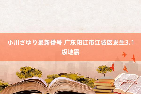 小川さゆり最新番号 广东阳江市江城区发生3.1级地震