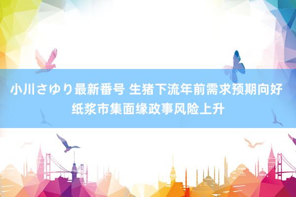 小川さゆり最新番号 生猪下流年前需求预期向好 纸浆市集面缘政事风险上升