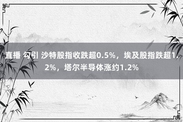 直播 勾引 沙特股指收跌超0.5%，埃及股指跌超1.2%，塔尔半导体涨约1.2%