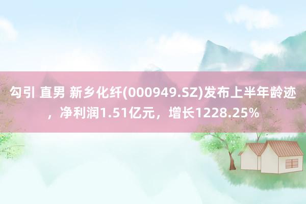 勾引 直男 新乡化纤(000949.SZ)发布上半年龄迹，净利润1.51亿元，增长1228.25%