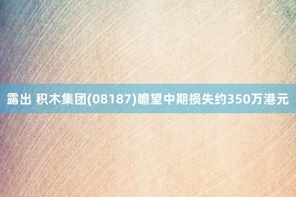 露出 积木集团(08187)瞻望中期损失约350万港元