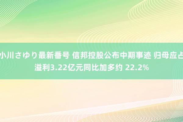 小川さゆり最新番号 信邦控股公布中期事迹 归母应占溢利3.22亿元同比加多约 22.2%