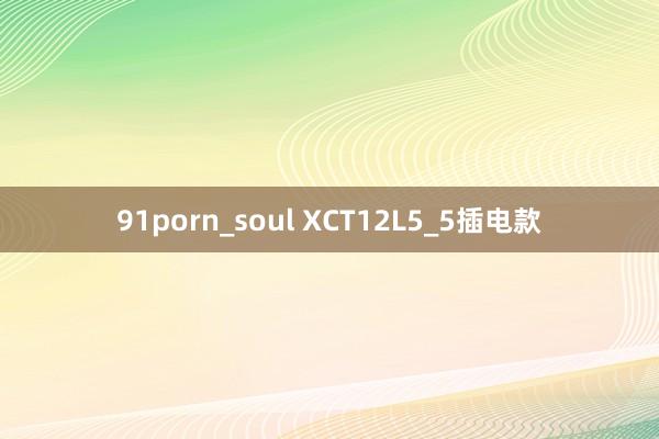 91porn_soul XCT12L5_5插电款