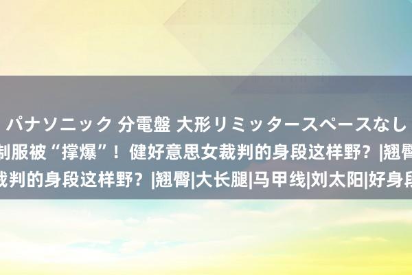 パナソニック 分電盤 大形リミッタースペースなし 露出・半埋込両用形 制服被“撑爆”！健好意思女裁判的身段这样野？|翘臀|大长腿|马甲线|刘太阳|好身段